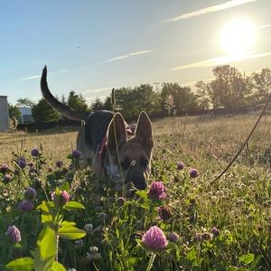 Meet your Posher, Esmeralda